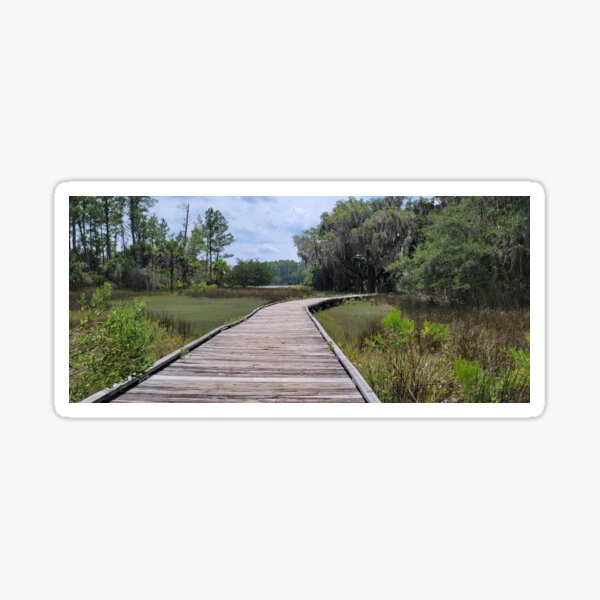 Item preview, Marshy Boardwalk designed and sold by dtheiris.