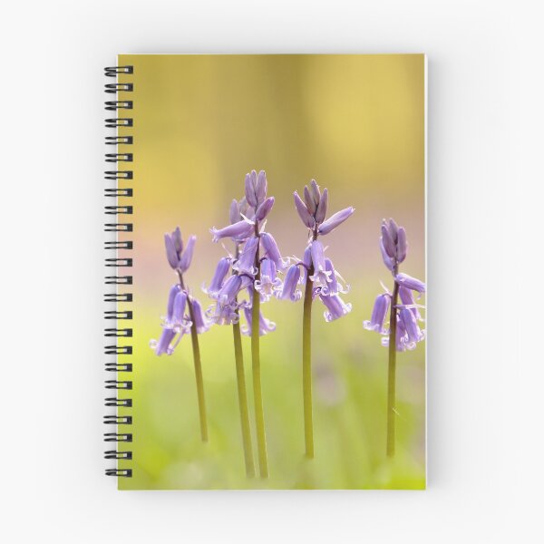 Item preview, Digital Photograph of Five bluebells designed and sold by SimonJohnson1.