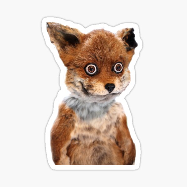 GEOFF STONED FOX TAXIDERMY MEME ADELE MORSE Sticker