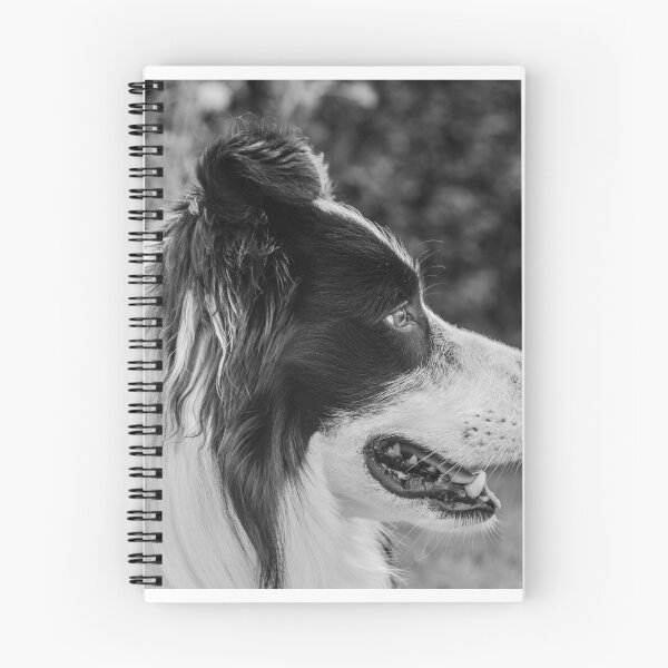Item preview, expression of a border collie designed and sold by tartaruga1988.