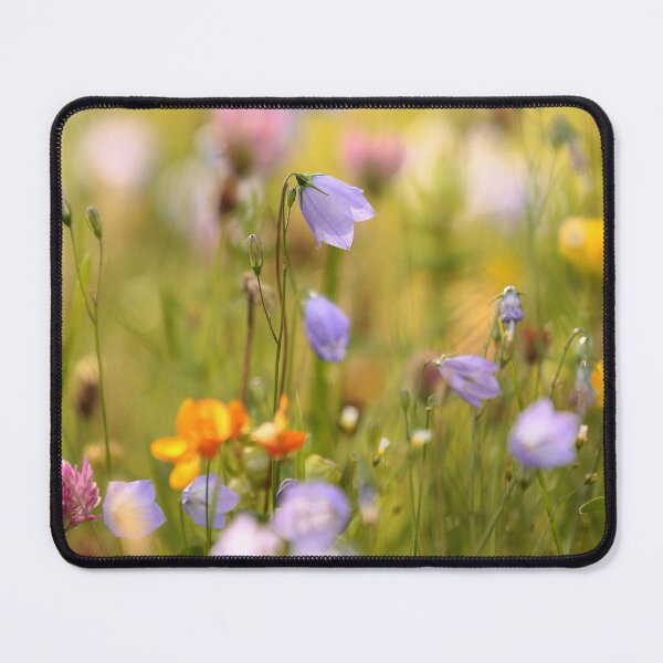 Item preview, Digital photograph of summer meadow flowers designed and sold by SimonJohnson1.