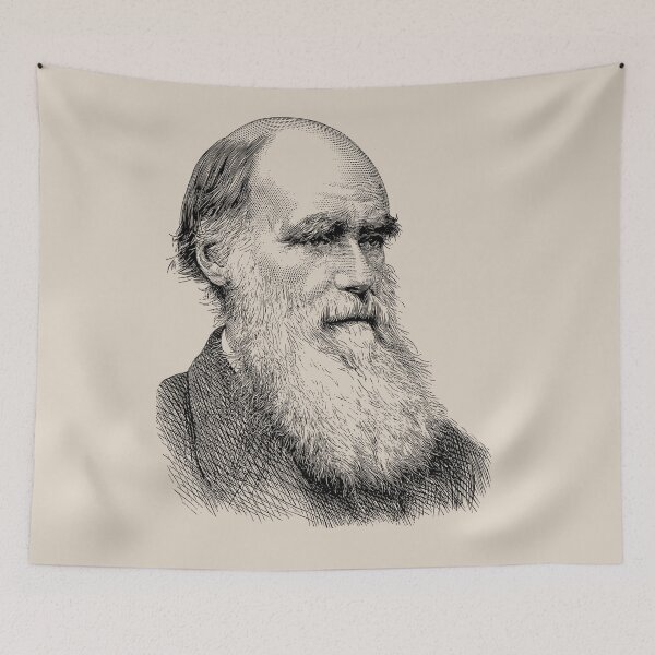 Artikelvorschau, Charles Darwin entworfen und verkauft von nando270.