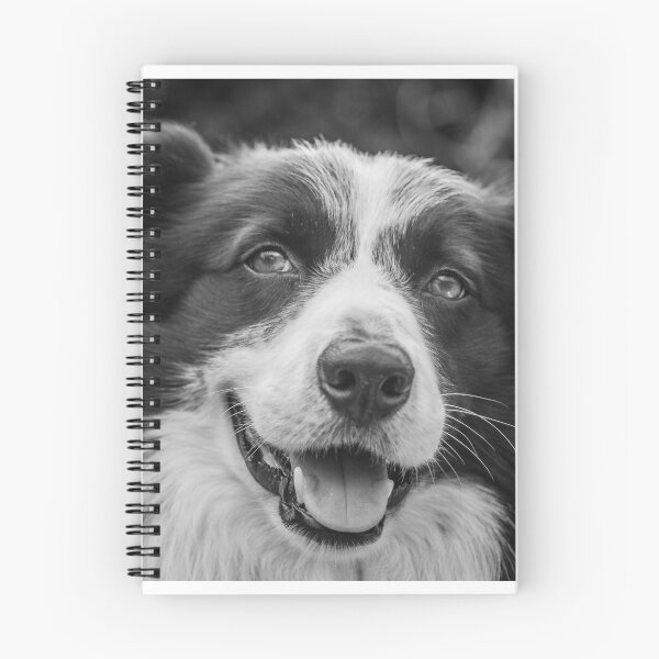 Item preview, expression of a border collie designed and sold by tartaruga1988.