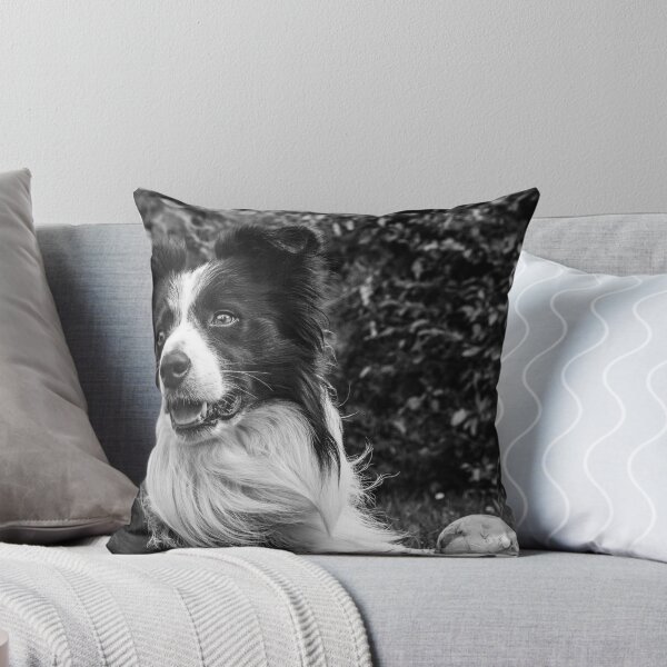 Item preview, expression of a border collie designed and sold by tartaruga1988.