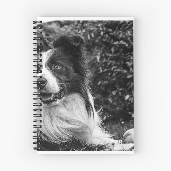 Item preview, expression of a border collie designed and sold by tartaruga1988.