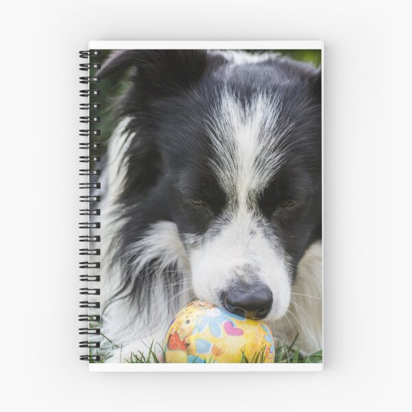 Item preview, portrait of a border collie dog while playing with a ball designed and sold by tartaruga1988.
