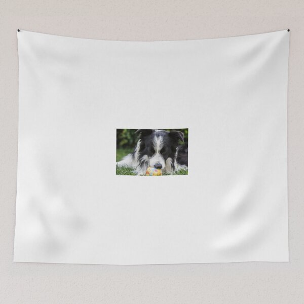 Item preview, portrait of a border collie dog while playing with a ball designed and sold by tartaruga1988.