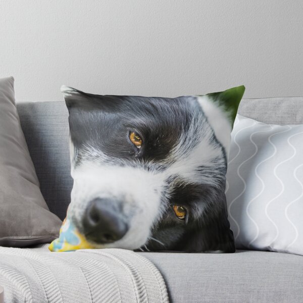 Item preview, portrait of a border collie dog while playing with a ball designed and sold by tartaruga1988.
