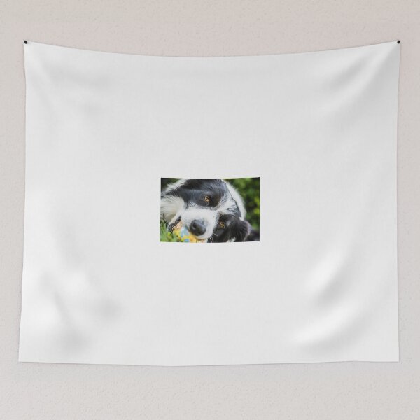 Item preview, portrait of a border collie dog while playing with a ball designed and sold by tartaruga1988.