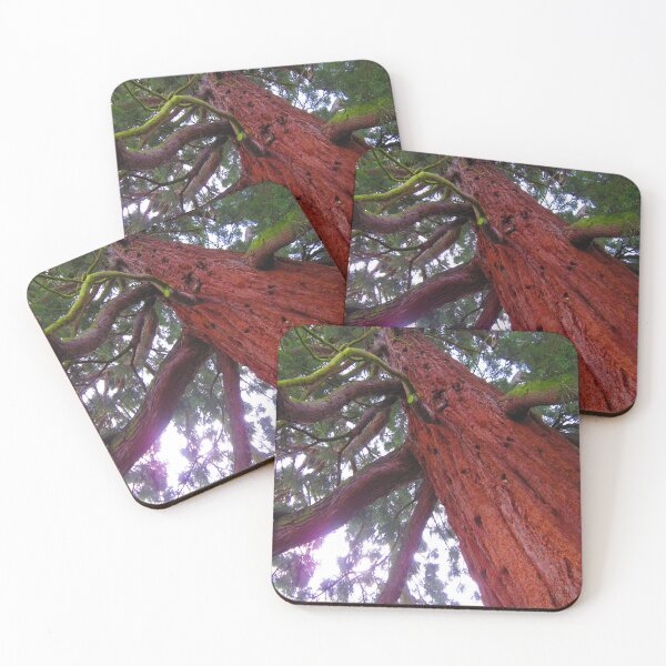 Item preview, Giant Redwood S designed and sold by CharlottePe21.
