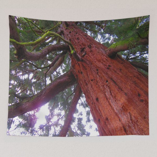 Item preview, Giant Redwood S designed and sold by CharlottePe21.