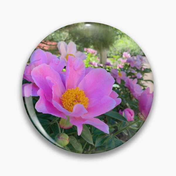 Item preview, Spring Blooms in the Garden 3 designed and sold by B. P..