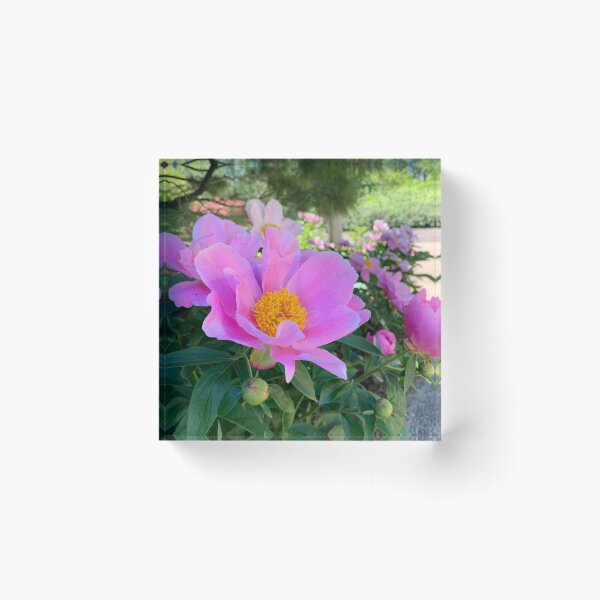 Item preview, Spring Blooms in the Garden 3 designed and sold by B. P..