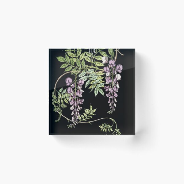 Item preview, Beautiful Purple Lilac Wisteria Plant Vintage Illustration designed and sold by TrulyEpoque.