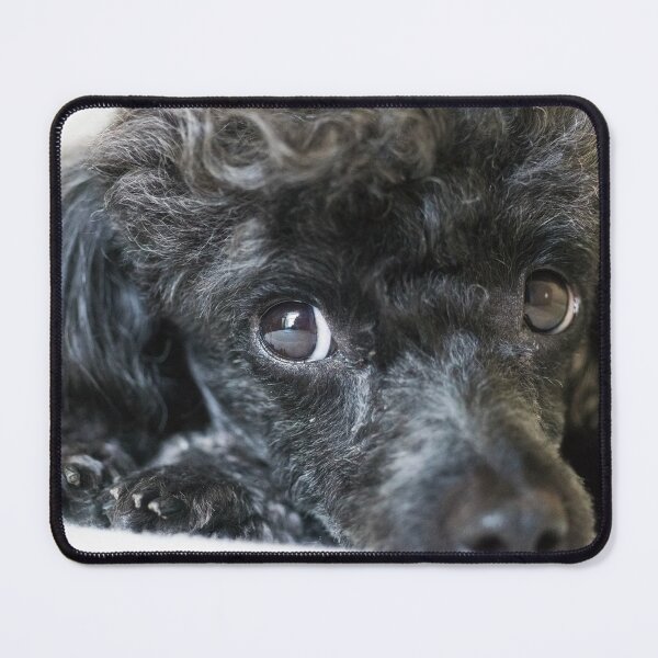 Item preview, Poodle designed and sold by KensLensDesigns.