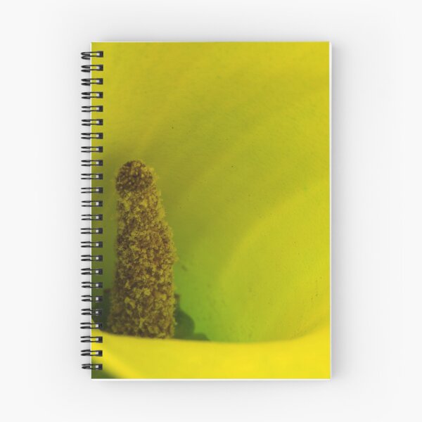 Item preview, Inside View designed and sold by BGSPhoto.
