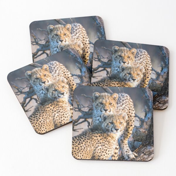 Item preview, Cheetah Cubs designed and sold by Carolyn Eaton.