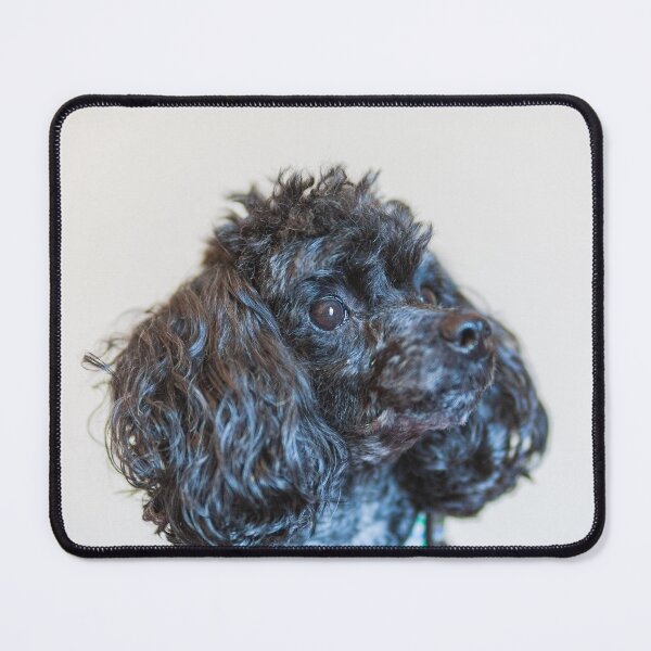 Item preview, Classic poodle designed and sold by KensLensDesigns.