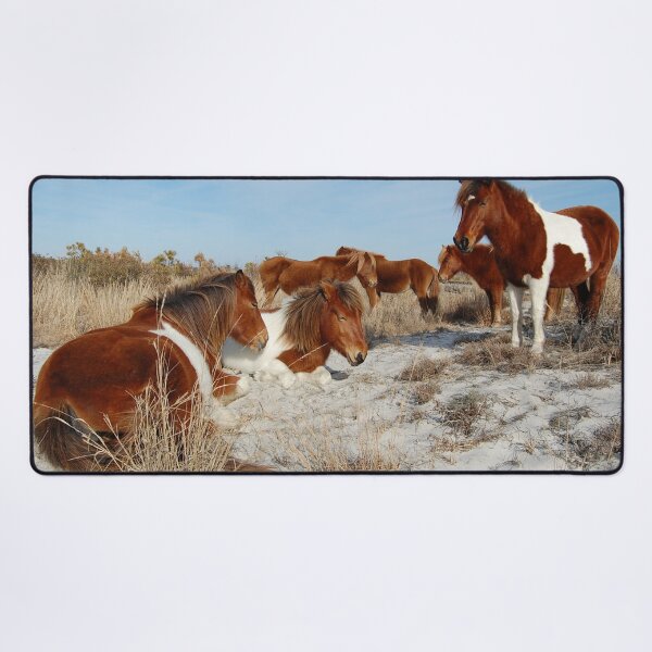 Item preview, Wild horses, wildlife, gifts, Assateague Island designed and sold by Sandra O'Toole.