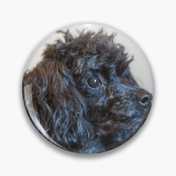 Item preview, Classy poodles designed and sold by KensLensDesigns.