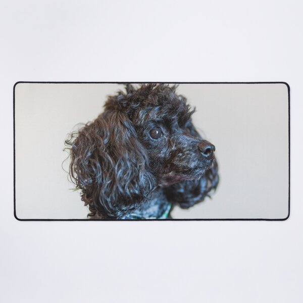 Item preview, Classy poodles designed and sold by KensLensDesigns.