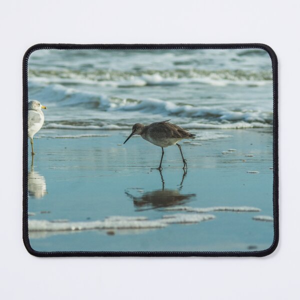 Item preview, Wilson's snipe and Ring-billed gull scapes designed and sold by KensLensDesigns.