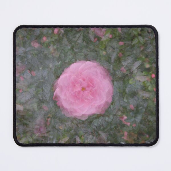 Item preview, Pretty arty impressionist pink rose designed and sold by Katharine Harper.