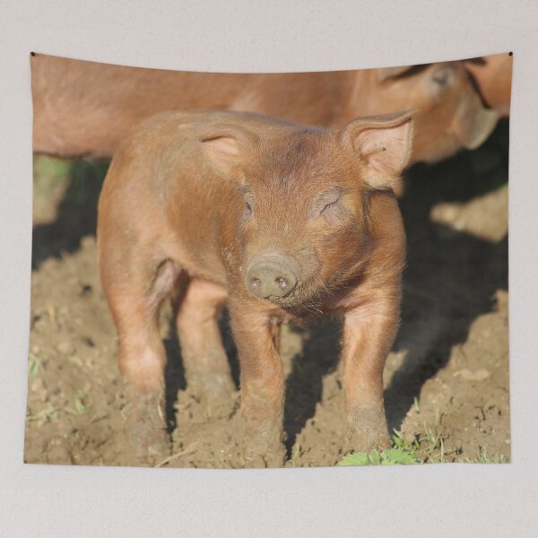 Item preview, Winking Piglet designed and sold by CharlottePe21.