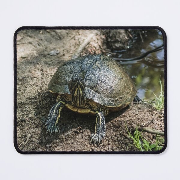 Item preview, Turtle Yellow-bellied Slider designed and sold by KensLensDesigns.