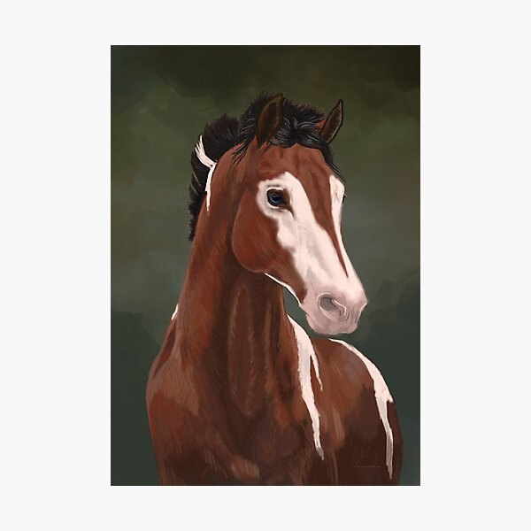 Item preview, Bay Pinto Horse designed and sold by KJL90.