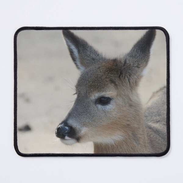 Item preview, Clara the deer designed and sold by KensLensDesigns.