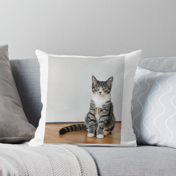 Item preview, Cat designed and sold by Pix-Perfect.