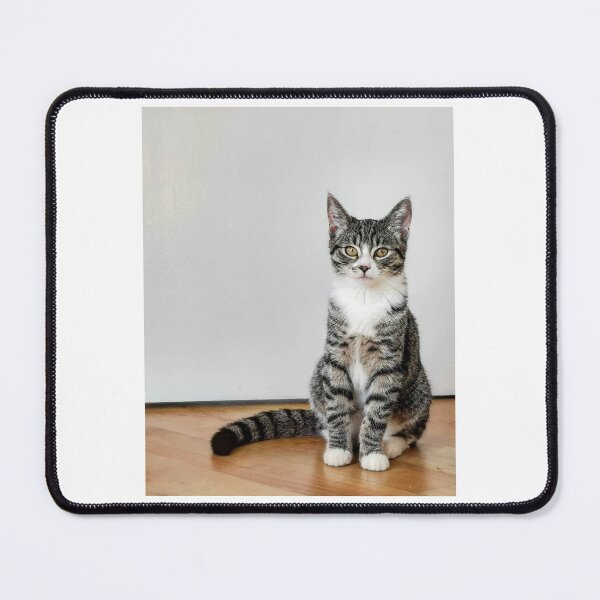 Item preview, Cat designed and sold by Pix-Perfect Photographs.