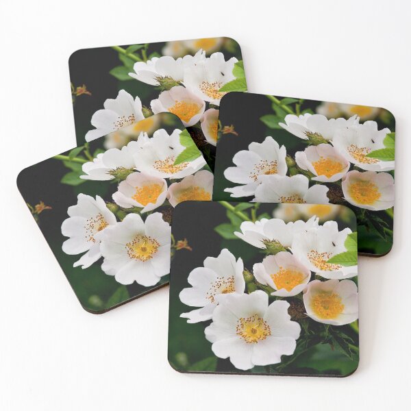 Item preview, English Wild Flowers - Dog Rose designed and sold by Violaman.