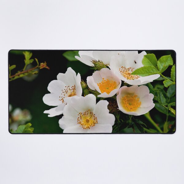 Item preview, English Wild Flowers - Dog Rose designed and sold by Violaman.