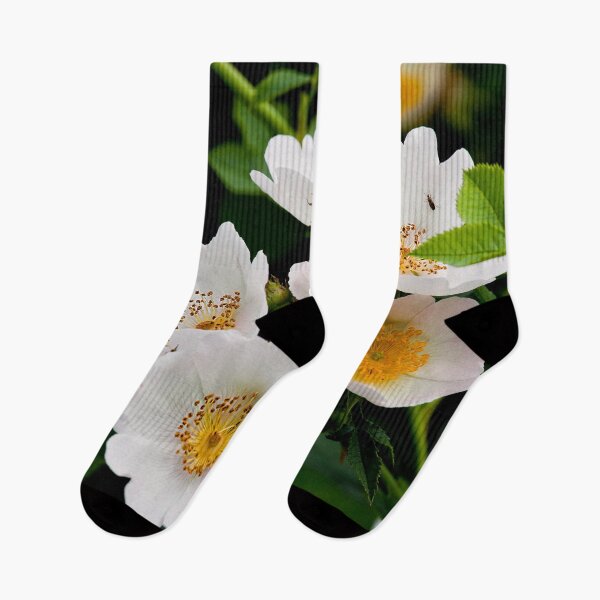 Item preview, English Wild Flowers - Dog Rose designed and sold by Violaman.