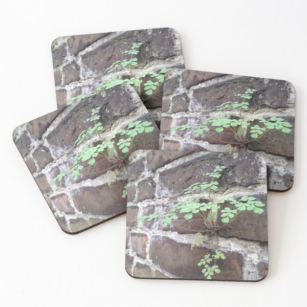 Item preview, Perseverance  designed and sold by Jenna Coffin.