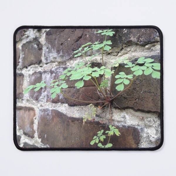 Item preview, Perseverance designed and sold by Jenna Coffin.