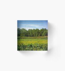 Sheldon Marsh - Summer Meadow Acrylic Block