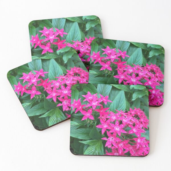 Item preview, Pink Stars designed and sold by Jenna Coffin.