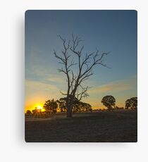 Last Of The Sun's Rays...... Canvas Print
