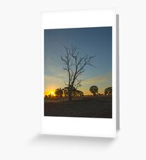 Last Of The Sun's Rays...... Greeting Card