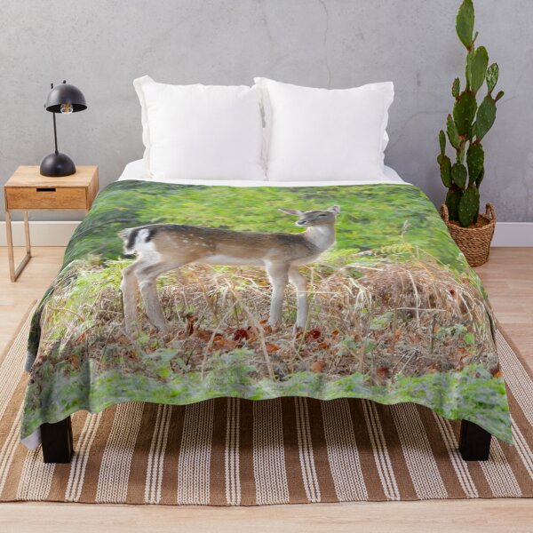Item preview, A Gorgeous Fallow Deer designed and sold by Karen Thomson.