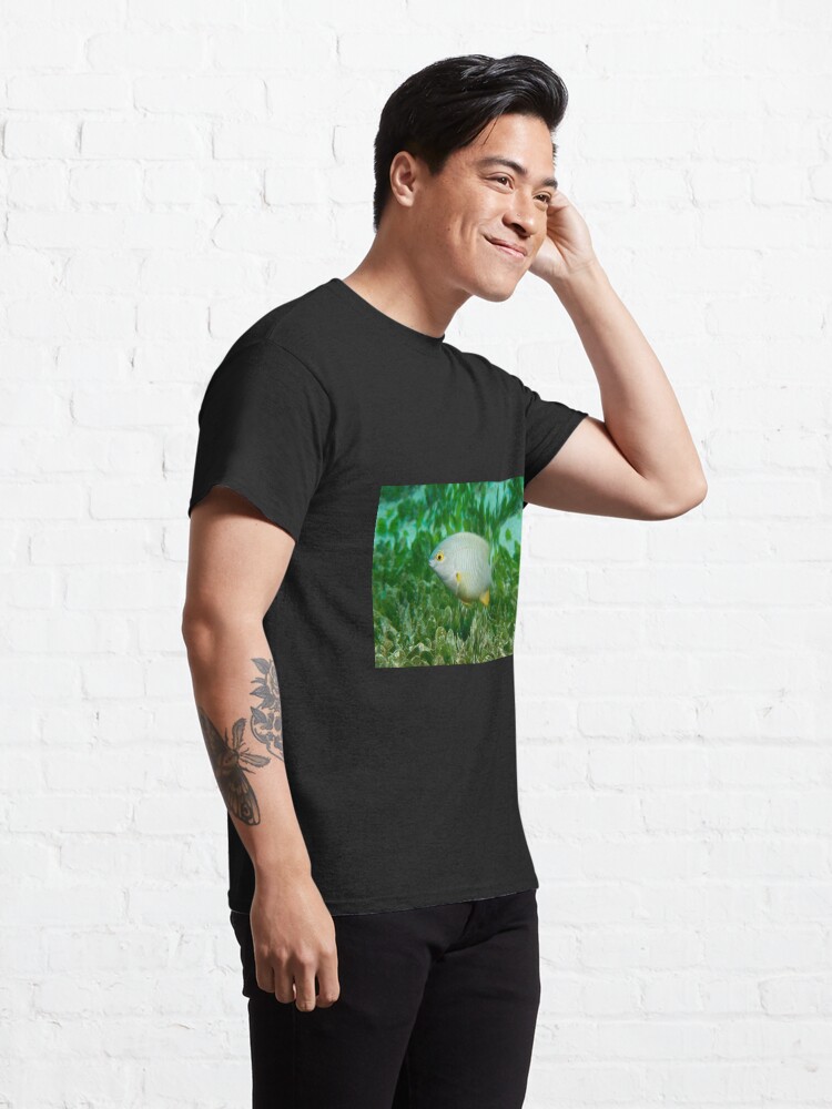 Alternate view of Coral Sea Gregory, Lord Howe Island Classic T-Shirt