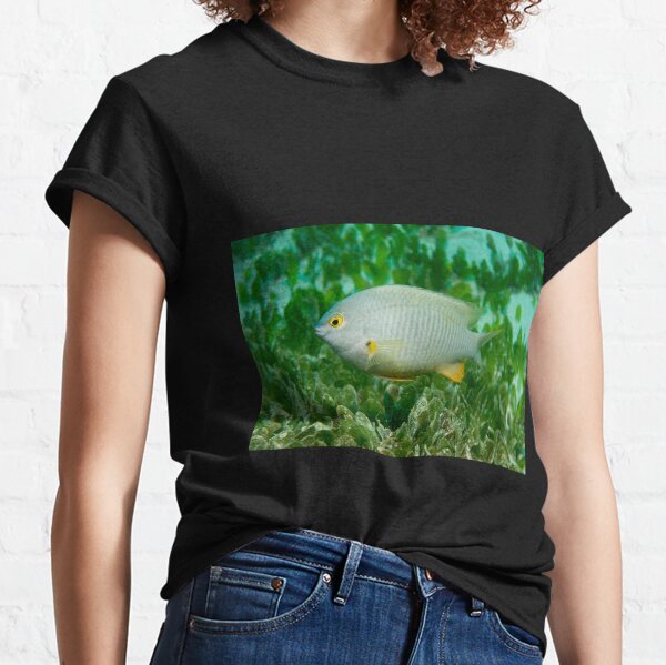 Coral Sea Gregory, Lord Howe Island Classic T-Shirt