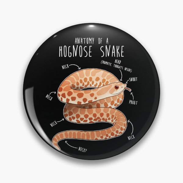 Item preview, Albino Hognose Snake Anatomy designed and sold by Clara Hollins.