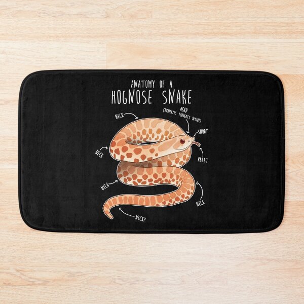 Item preview, Albino Hognose Snake Anatomy designed and sold by Clara Hollins.