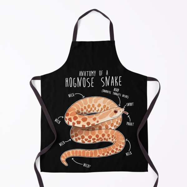 Item preview, Albino Hognose Snake Anatomy designed and sold by Clara Hollins.