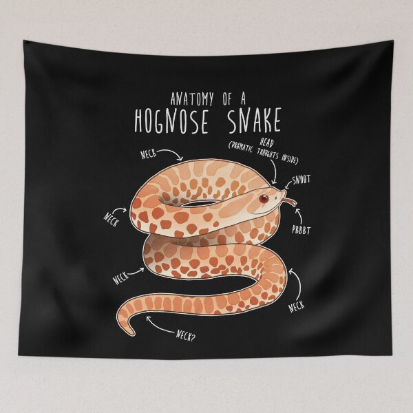 Item preview, Albino Hognose Snake Anatomy designed and sold by Clara Hollins.