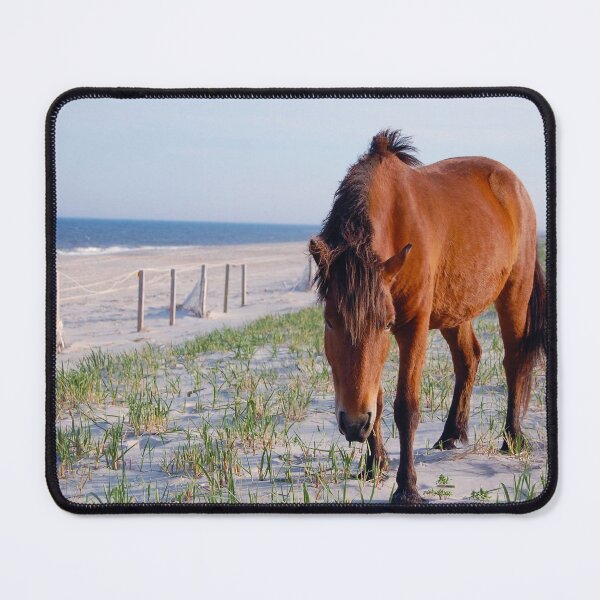 Item preview, Wild horses, wildlife, Assateague Island, Mystic Beauty designed and sold by Sandra O'Toole.